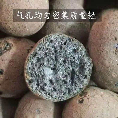 韶山陶粒回填衛生間的施工方法