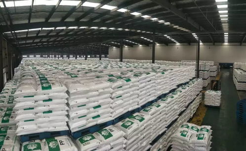 困境與自救 疫情之下多地 包飛機(jī) 包高鐵 包車 幫助企業(yè)復(fù)工