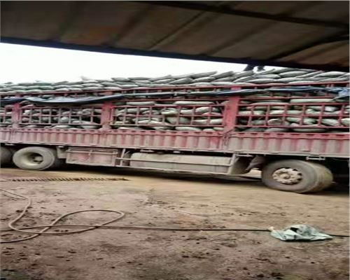 2021揭陽粘土陶粒多少錢電話報價