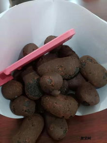 防城港陶粒 工程與家用優選，品質卓越價格實惠