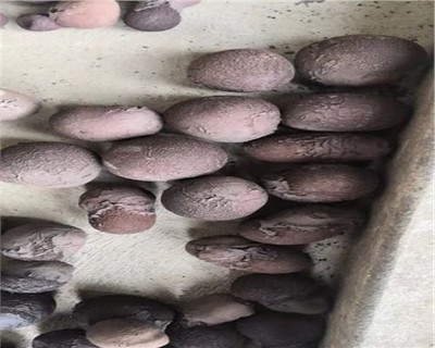 滄州建材陶粒價(jià)格解析及工程應(yīng)用